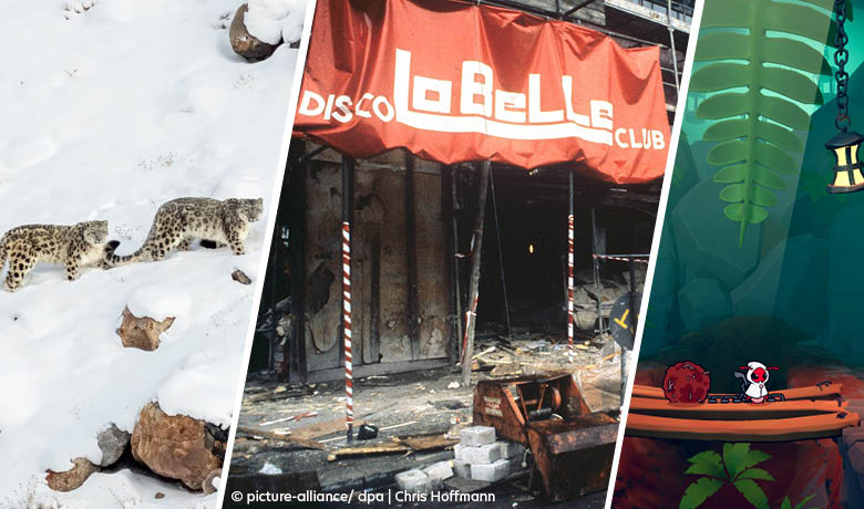 Einblick in die geförderten Projekte des Medienboards BerlinBrandenburg. Quelle: Medienboard BerlinBrandenburg, Autor: picture-alliance/dpa/Chris Hoffmann